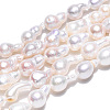 Natural Baroque Pearl Keshi Pearl Beads Strands PEAR-S020-F10-02-3