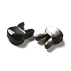 Natural Black Lip Shell Beads SHEL-G014-06A-4