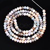 Electroplate Glass Beads Strands X-EGLA-T020-12E-3