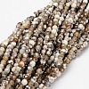 Faceted Natural Agate Round Beads Strands G-E318B-4mm-01-1