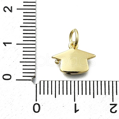 Brass Enamel Charms KK-K400-30G-1