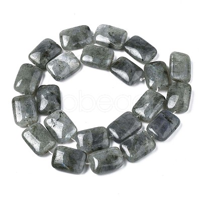 Natural Labradorite Beads Strands X-G-T121-13-1