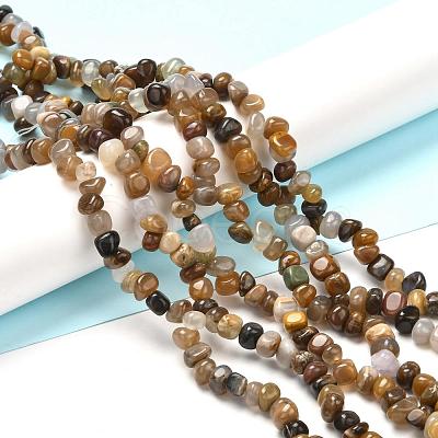 Natural Petrified Wood Beads Strands G-G031-01-1