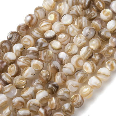 Natural Freshwater Shell Beads Strands SHEL-K006-71B-1
