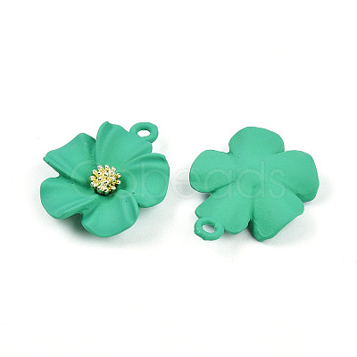 Spray Painted Alloy Pendants PALLOY-N0147-03F-1