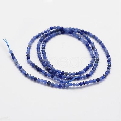 Natural Grade A Sodalite Beads Strands G-G663-21-2mm-1