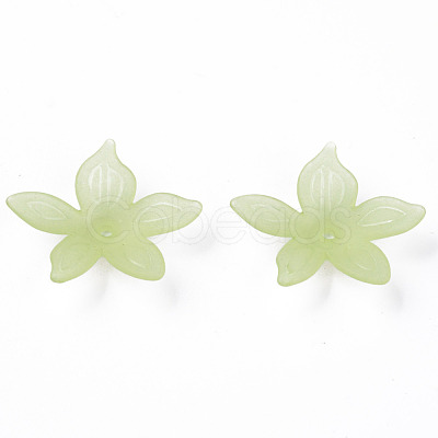 Transparent Acrylic Beads MACR-S373-127-D06-1