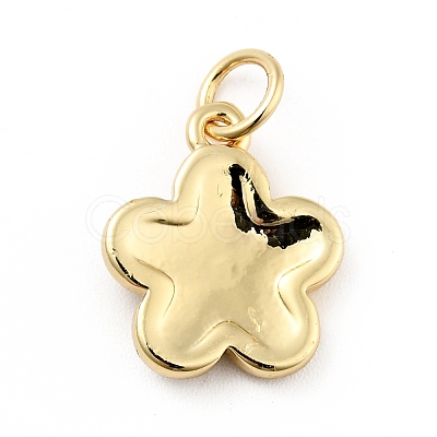 Rack Plating Brass Enamel Charms KK-G387-09G-08-1