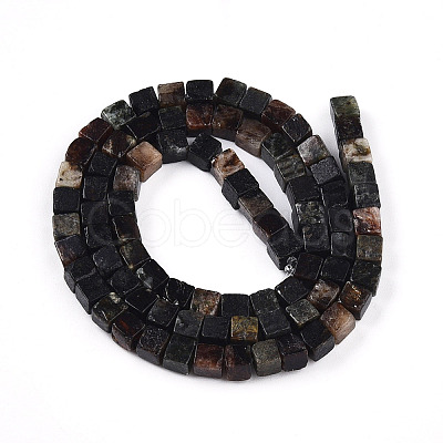 Natural Biotite Beads Strands G-T140-39B-1