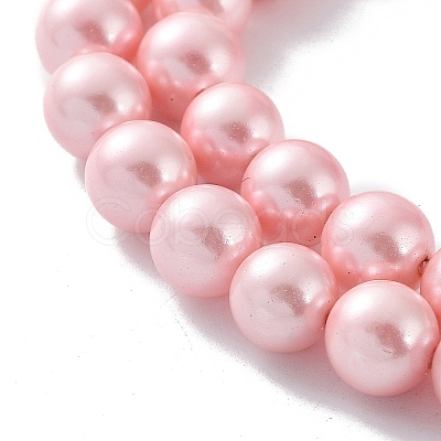Shell Pearl Bead Strands X-BSHE-L025-06-8mm-1