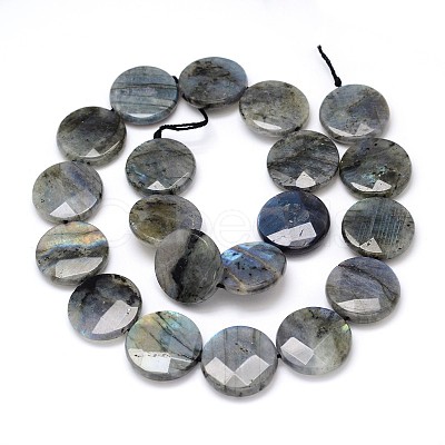 Natural Labradorite Bead Strands G-O099-04-B-1