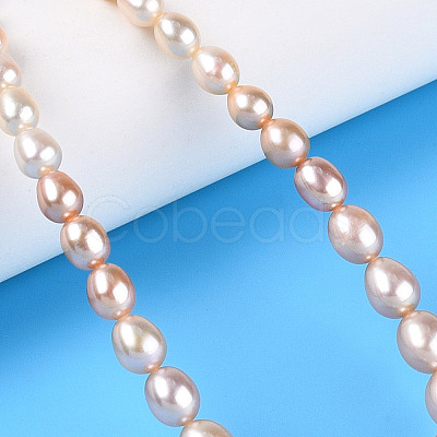 Natural Cultured Freshwater Pearl Beads Strands PEAR-K003-21D-1