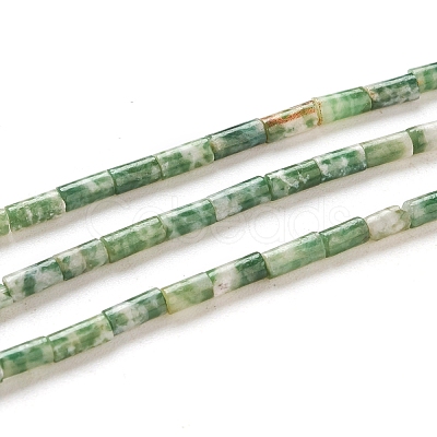Natural Green Spot Jasper Beads Strands G-G783-11-1
