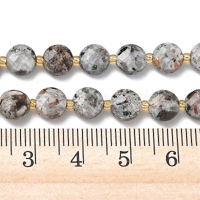 Natural Syenite Beads Strands G-K389-B86-01-1