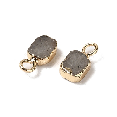 Natural Labradorite Rectangle Charms G-Q169-07G-11-1