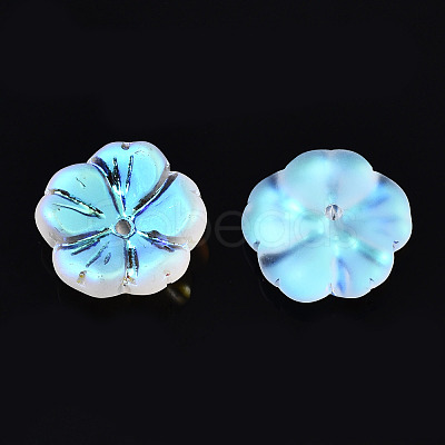 Transparent Frosted Glass Beads GLAA-Q089-003-D001-1