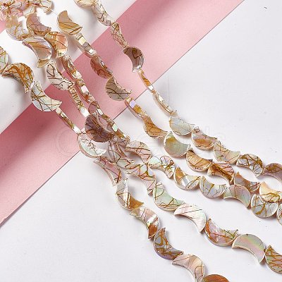 Drawbench Style Natural Freshwater Shell Beads Strands X-SHEL-F003-05-1