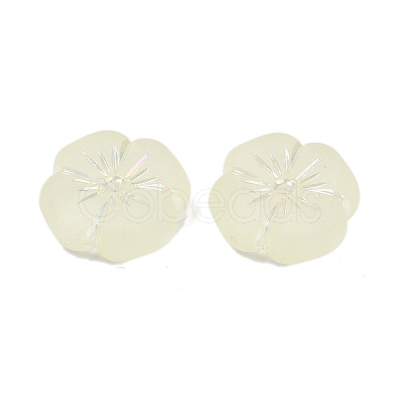 Frosted Transparent Acrylic Beads OACR-P029-19B-03-1