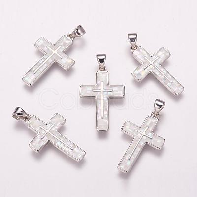 Freshwater Shell Pendants ZIRC-F057-05D-1