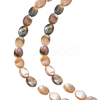 1 Strand Natural Paua Shell Beads Strands BSHE-ME0001-05-1