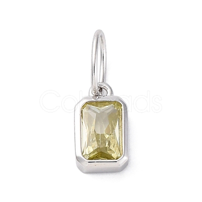 925 Sterling Silver Cubic Zirconia Charms STER-NH0014-01P-08-1