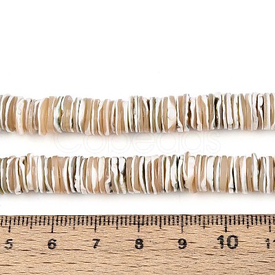 Luminous Natural Seashell Shell Beads Strands SSHEL-T017-34-1