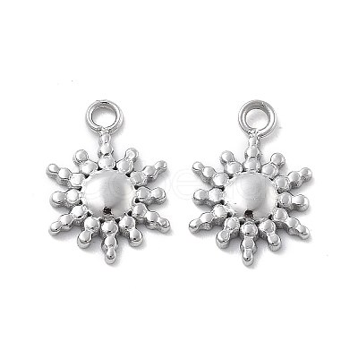 304 Stainless Steel Charms STAS-Z121-12P-1