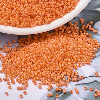 MIYUKI Delica Beads SEED-X0054-DB1593-1