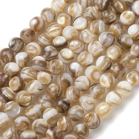Natural Freshwater Shell Beads Strands SHEL-K006-71B-1