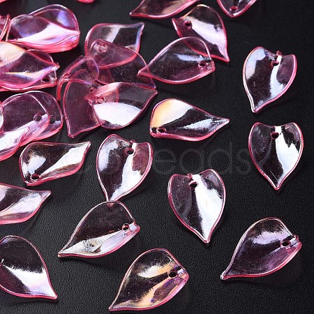 Transparent Acrylic Beads MACR-S373-103-C05-1