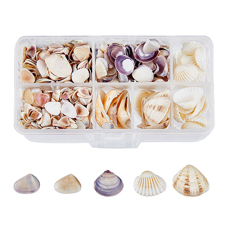 5 Styles Shell Beads SHEL-FH0001-22-1