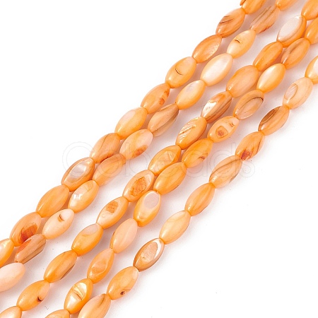 Natural Freshwater Shell Dyed Beads Strands SHEL-M018-13-08-1