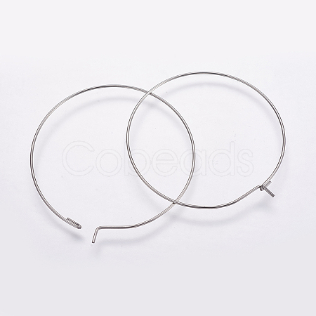 316 Surgical Stainless Steel Hoop Earrings Findings STAS-K146-039-25mm-0.8-1