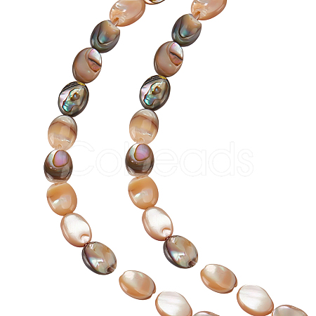 1 Strand Natural Paua Shell Beads Strands BSHE-ME0001-05-1