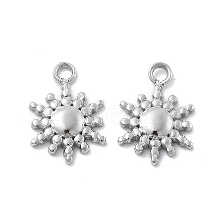 304 Stainless Steel Charms STAS-Z121-12P-1