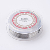 Steel Wire TWIR-E001-0.1mm-1