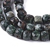 Natural Seraphinite Beads Strands G-L537-014-2