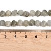 Natural Labradorite Beads Strands G-P611-C26-01-5