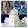 Sew on Rhinestone GLAA-N048-001B-09-4