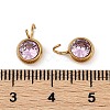 Ion Plating(IP) 304 Stainless Steel Micro Pave Cubic Zirconia Charms STAS-Z094-02G-07-3