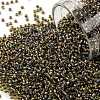 TOHO Round Seed Beads SEED-JPTR15-0281-1