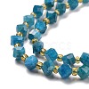Natural Apatite Beads Strands G-P463-29-4