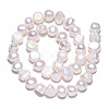 Natural Cultured Freshwater Pearl Beads Strands PEAR-N014-08E-4