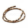 Natural Picture Jasper Beads Strands G-I326-09-3