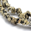 Natural Dalmatian Jasper Beads Strands G-P332-20-2