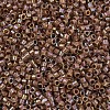 MIYUKI Delica Beads SEED-X0054-DB1732-3