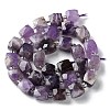 Natural Amethyst Beads Strands G-B065-A02-3