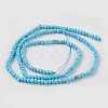 Natural Howlite Beads Strands TURQ-K004-06A-2