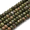 Natural Unakite Beads Strands G-A280-A20-01-2