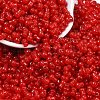 Transparent Colours Glass Seed Beads SEED-R001-01I-1